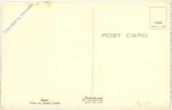 ak208919a Indianer