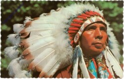 ak208926 Indian Chief