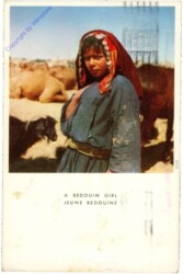 A Bedouine Girl