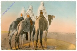 ak208936 Groupe de Touaregs
