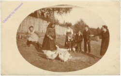 ak208985 Familie beim Gänsefüttern