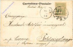 Paolo Kauttmann