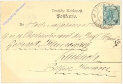 ak209130a Die Wahrsagerin
