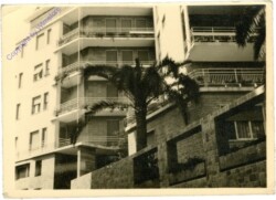ak209189 Palme vor Wohnblock