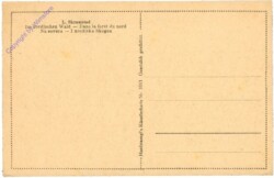 ak209191a Skramstad, L.: Im nordischen Wald