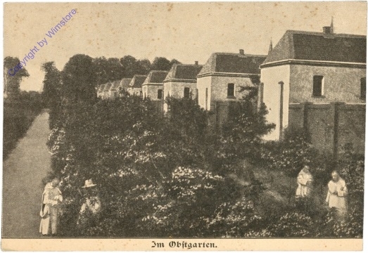 Im Obstgarten