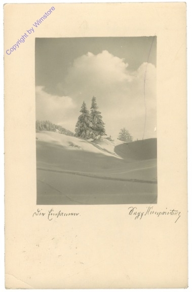 ak209197 Verschneite Bäume
