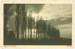 ak209199 Wurbs: Letztes Leuchten