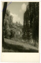 Blick über den Weiher