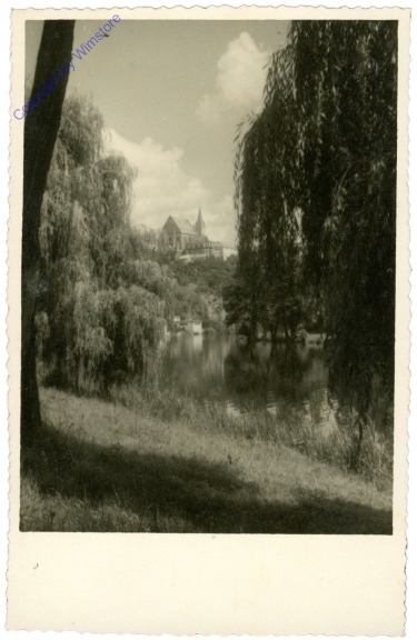 Blick über den Weiher