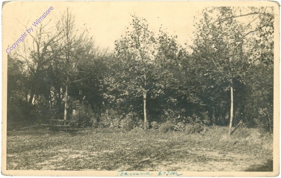 Waldrand