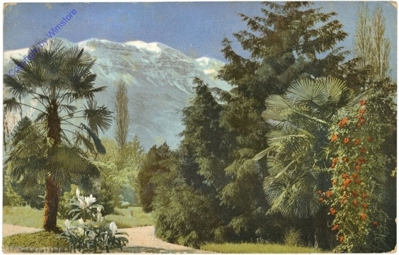 Blick auf die Berge
