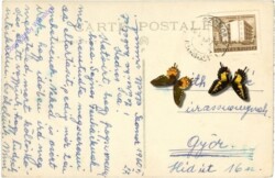 ak209232a Häuserzeile