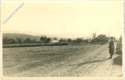 ak209287 Ein Feld