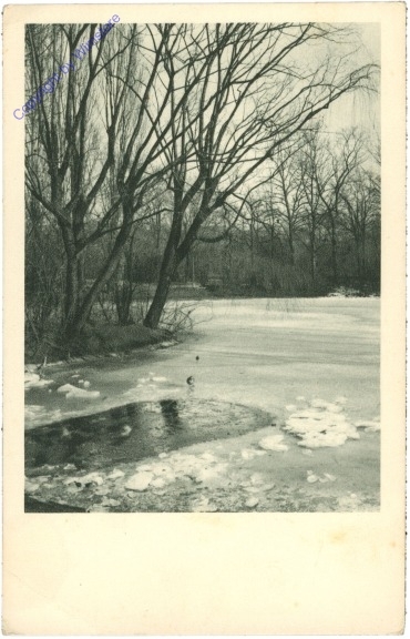 Zugefrorener See