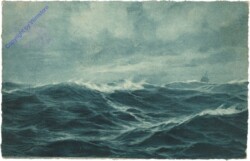 ak209319 Meer