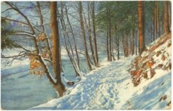 ak209321 Verschneiter Waldweg