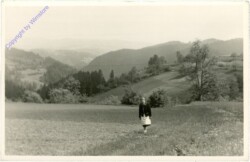 ak209324 Auf der Wiese