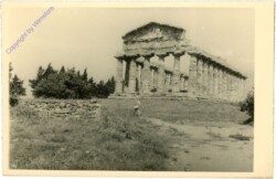 Paestum, Tempel der Athene