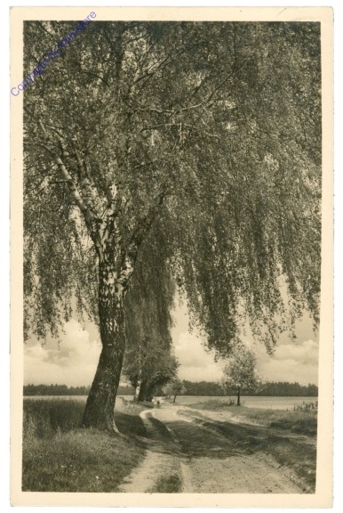 ak209450 Feldweg