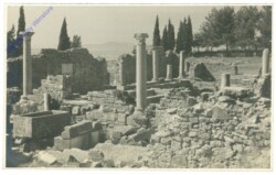 Solin, Basilika mucenika