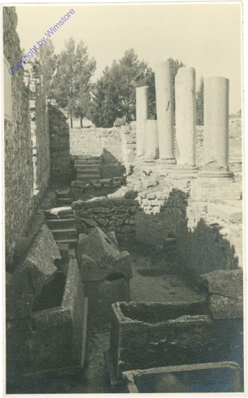 Solin, Basilika mucenika