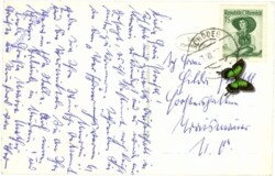 Schöder, Zwiefler-(Gastl-)See