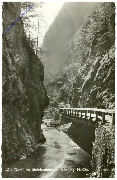 ak209555 Göstling, Die Noth im Steinbachtal