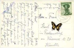 ak209563a Hainburg, Ortsansicht