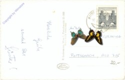 Hainburg, Multiansicht