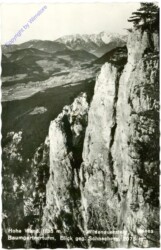 Hohe Wand, Wildenauersteig, Baumgartnerturm, Blick geg. Schneeberg