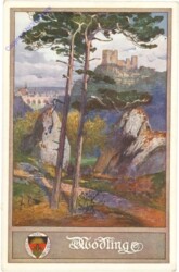 Mödling, Ortsansicht
