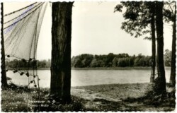 Traismauer, Donau-Motiv