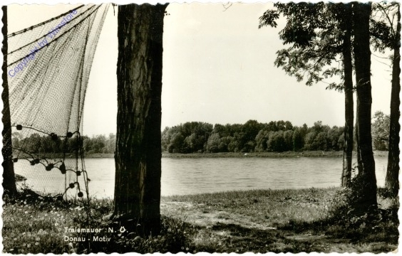 Traismauer, Donau-Motiv