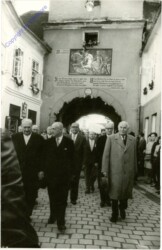 Traismauer, Veranstaltung