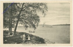 Traismauer, Traisenmündung