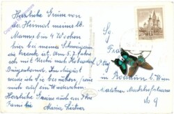 Traismauer, Ortsansicht