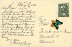 ak209783a Wien 19, Höhenstrasse mit Kobenzl