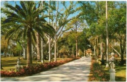 Florida: Sarasota, Azaleas along drive leading to Ringling Residence