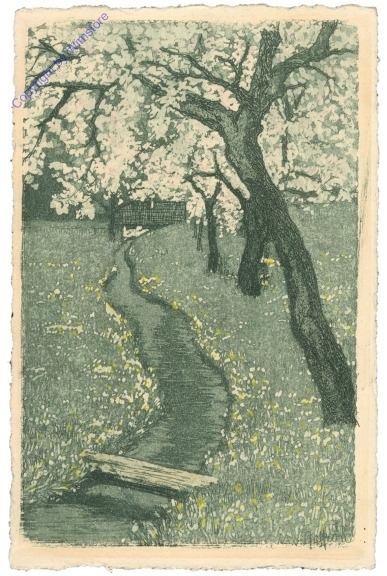 ak209906 Blühende Bäume