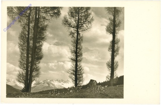 Blick auf die Berge