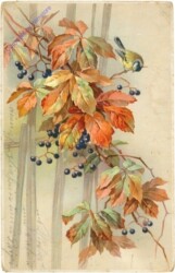 Herbstfarben