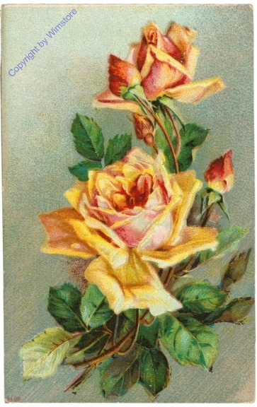 Rosen