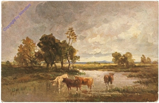 ak209927 Weidende Kühe