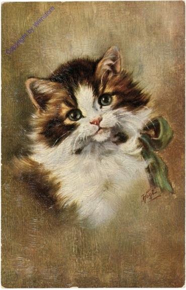 ak209928 Katzenkopf mit grüner Schleife