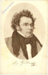 Schubert Franz, Portrait