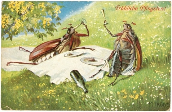 ak209956 Käfer bei Tisch