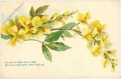 ak209957 Ist auch die Karte noch so klein, ...