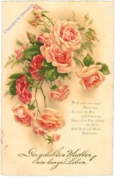 Rosen mit Vers