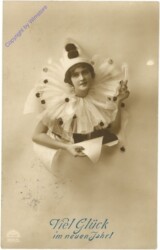 ak210013 Harlekin